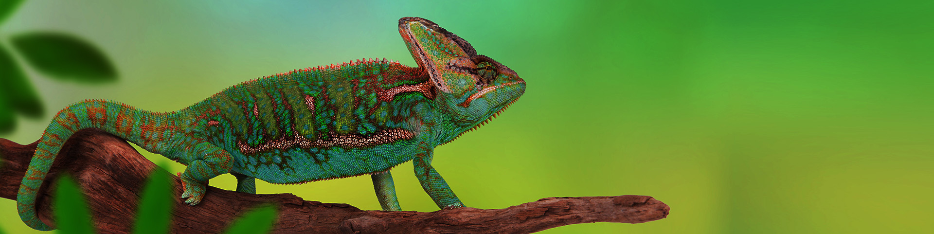 Seamless real-time integration