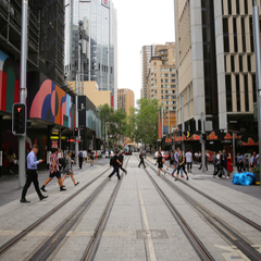 Busy Sydney street